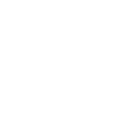 A Scribble in Time Logo
